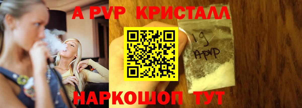 Альфа ПВП СК Мончегорск